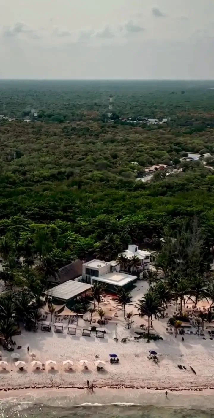 Vista aérea del club entre la selva y el mar